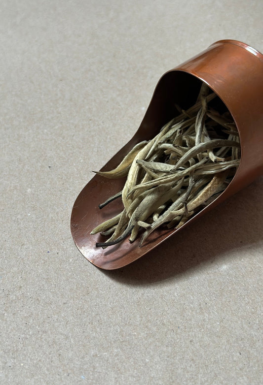 Silver Needle